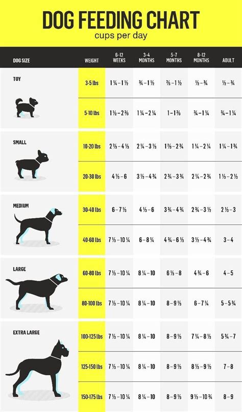 Dog Feeding Chart | Dog feeding, Dog feeding schedule, Raw feeding for dogs