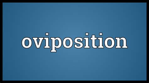 Oviposition Meaning - YouTube