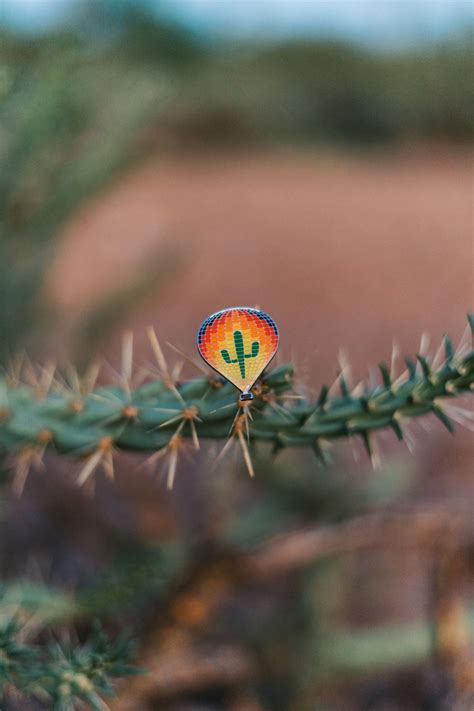 Balloon Pin Hot Air Expeditions