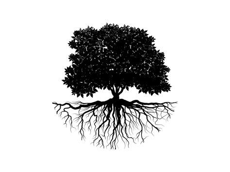 Black Branch Tree Or Naked Trees Silhouettes Hand Drawn Isolated Illustrations Vector