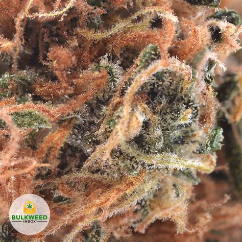 Pink Pussy Aaa Buy Weed Online