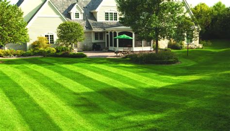 great ways   stripe lawn  roller