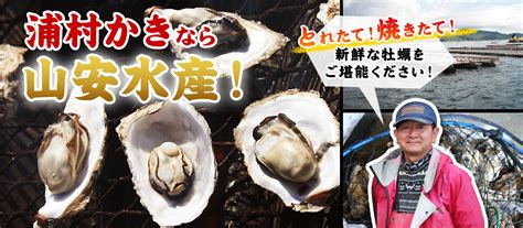 浦村かき【牡蠣・牡蛎販売サイト】伊勢志摩の新鮮な『浦村牡蠣』を産地直送でお届けします！『牡蠣』『蛎』『浦村カキ』なら当店で！ 山安水産