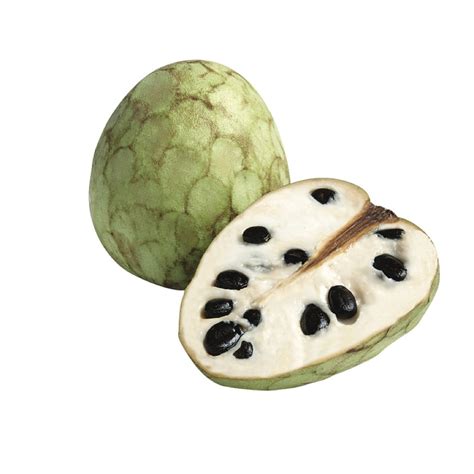 Cherimoya Annona Cherimola Tree Cherimoya Annona Live Plant Tkepots