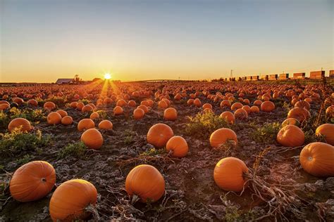 13 Southern Indiana Fall Festivals You Don't Want to Miss