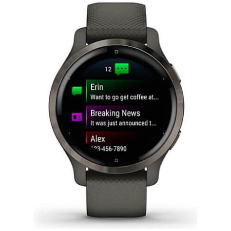 Смарт-часы Garmin Venu 2S Slate Bezel with Graphite Case and Silicone ...