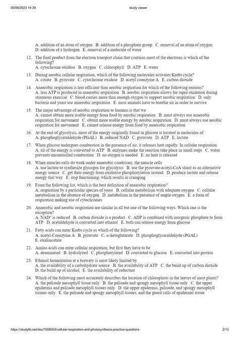 Solution Cellular Respiration And Photosynthesis Practice Questions