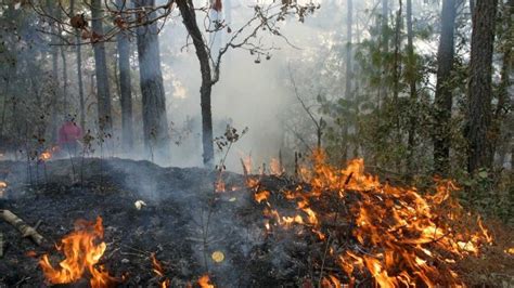 Hect Reas Afectadas En Por Incendios Forestales En Ecuador