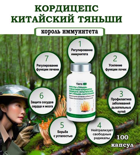 Кордицепс Тяньши в капсулах для иммунитета купить на OZON по низкой ...
