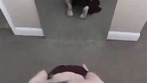 Free Princess Leia Porn Videos XHamster