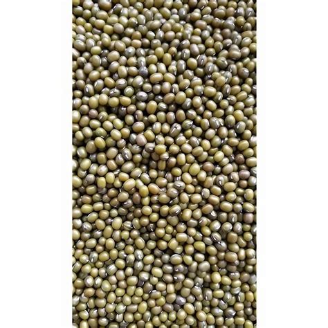 Whole Moong Dal At ₹ 116kg Moong Dal Mogar In Navi Mumbai Id