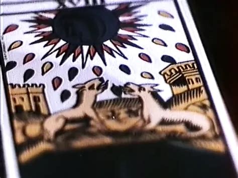 9 Lives Of A Wet Pussy Retro Retro Porn By Club New City XHamster