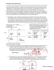 Understanding Sex Linked Inheritance Genetic Traits In Course Hero