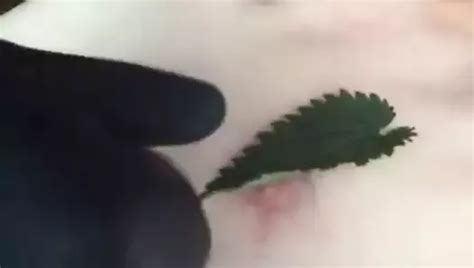 More Nettles To The Dick And Balls Man Porn A XHamster XHamster
