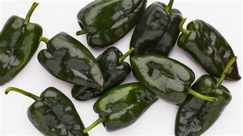 Poblanos Are the Only Green Peppers I Can Fully Get Behind | Bon Appétit