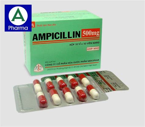 Ampicillin Mg Domesco Thu C Ch Ng Vi M Nhi M Hi U Qu