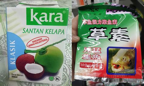 Cara Buat Umpan Tongsan Sisik Kasar Paling Mudah Umpan