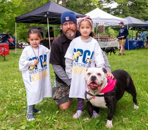 Westchester SPCA adoption rates soar after local campaign 28