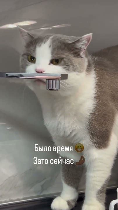 Ну красота же😁 забирай артикул на озон, я сегодня добрый 🥰 1416683472 # ...