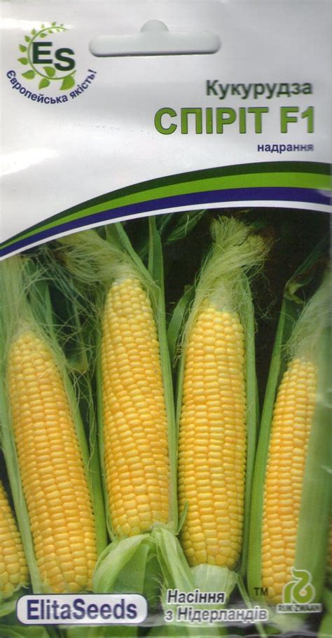 Купить семена Кукуруза Спирит F1 (20шт) ElitaSeeds | Golandka.com