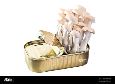 Genetically Modified Tinned Mushrooms On A White Background Stock Photo