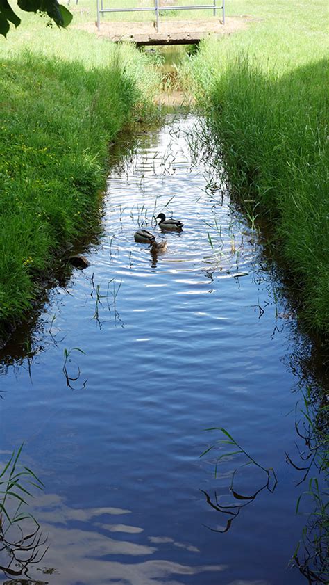 Фотоотчет из Цербста, Германия (Zerbst, Germany)