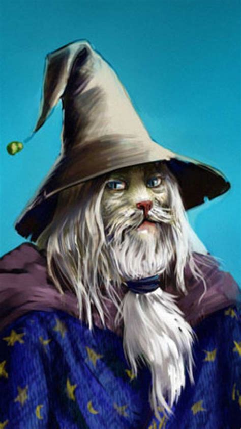 Wizard cat | Wizard cat, Cat art, Art