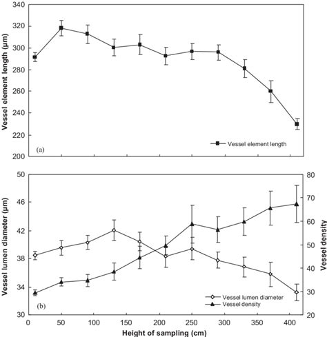 Longitudinal Variation In Vessel Features A Vessel Element Length