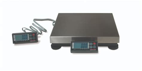 Scales Shammam Consulting Services