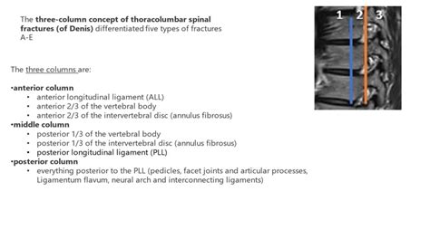 Denis Classification Adapted From DENIS FRANCIS MD FRCS C The