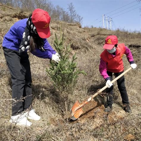 共建“巾帼林”，同创文明城——市妇联开展春季义务植树活动澎湃号·政务澎湃新闻 The Paper