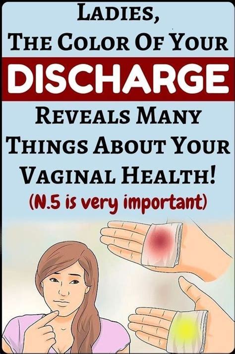 Five Things Everyone With A Vagina Should Know Healthy Lifestyle