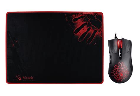 Bloody Official Website