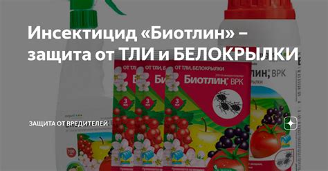 Инсектицид «Биотлин» – защита от ТЛИ и БЕЛОКРЫЛКИ | ЗАЩИТА от ...