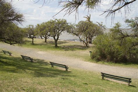 Recorridos Gratuitos En La Reserva Ecol Gica Buenos Aires Ciudad