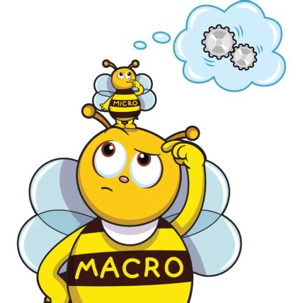 Macro Micro | VeeFriends.com