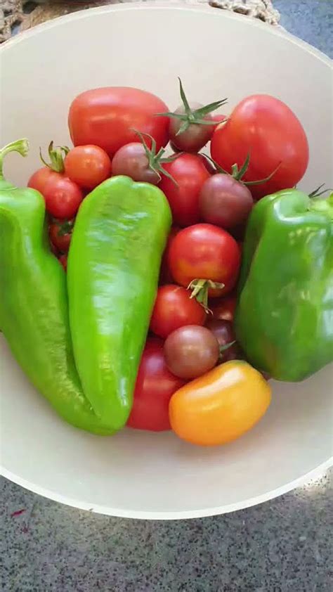 #юмор#рассада #рассада #flowers #garden #дом #сад #сирень#огород # ...