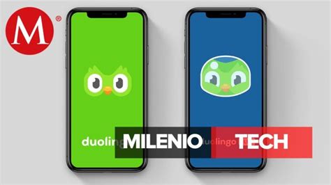 Duolingo Sirve Para Aprender Idiomas Actualizado Septiembre 2024