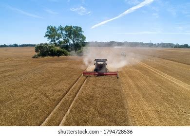 Farmers Harvest Sugar Beet Country Field Stock Photo 1813409212