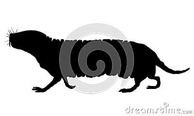 Naked Mole Rat Black Drawing Silhouette Image Cartoon Vector Cartoondealer
