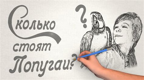 Сколько стоит попугай? Цены и особенности видов попугаев. - YouTube