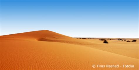 Saudi Arabien Dr Ngt In Den Gr Nen Wasserstoff Markt