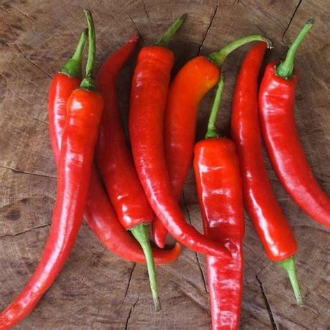 РАССАДА ПЕРЕЦ ОСТРЫЙ ЯЗЫК ДРАКОНА кассета-6шт | Агрофирма «ФЛОС»