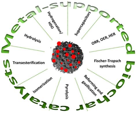 Catalysts Free Full Text Metal Supported Biochar Catalysts For