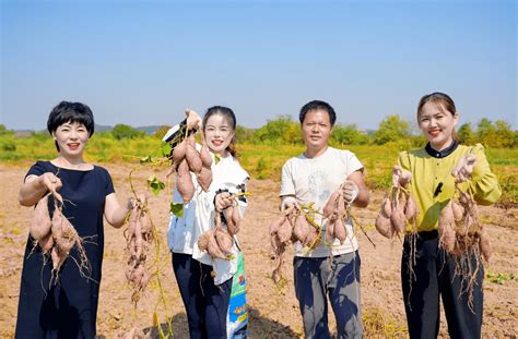 奋进新征程，妇女有力量！来看望城乡村振兴“她力量”正绽放故事女性团队