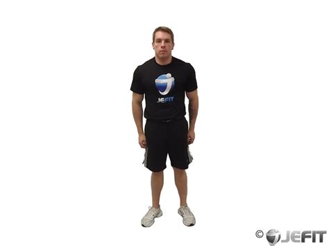 Shoulder Circles Exercise Database Jefit Best Android And Iphone