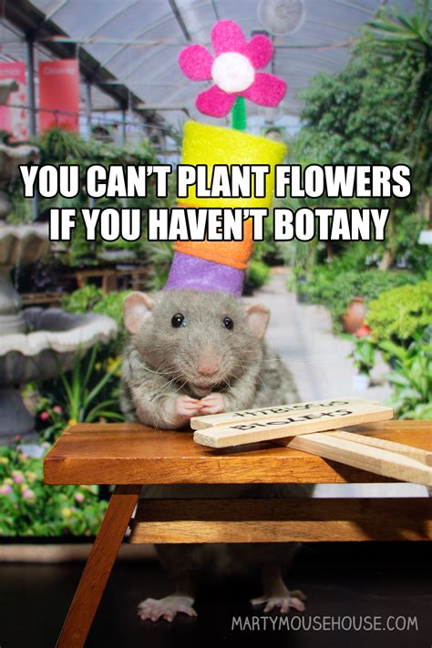 Forget Flowers: These Flirty Memes For Her Are The Ultimate Gift Image 10