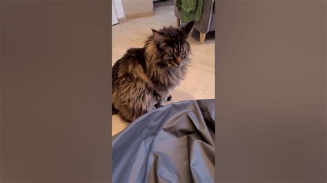 пакрафт Тайфун Expedition 260 - YouTube