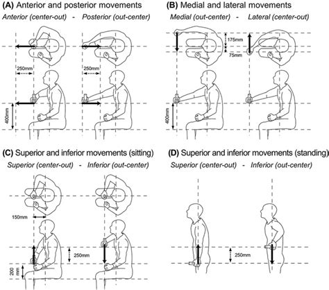 Upper limb movements examined in this study. The participants moved ...