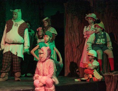 Shrek: the Musical Jr | The Theatre Company